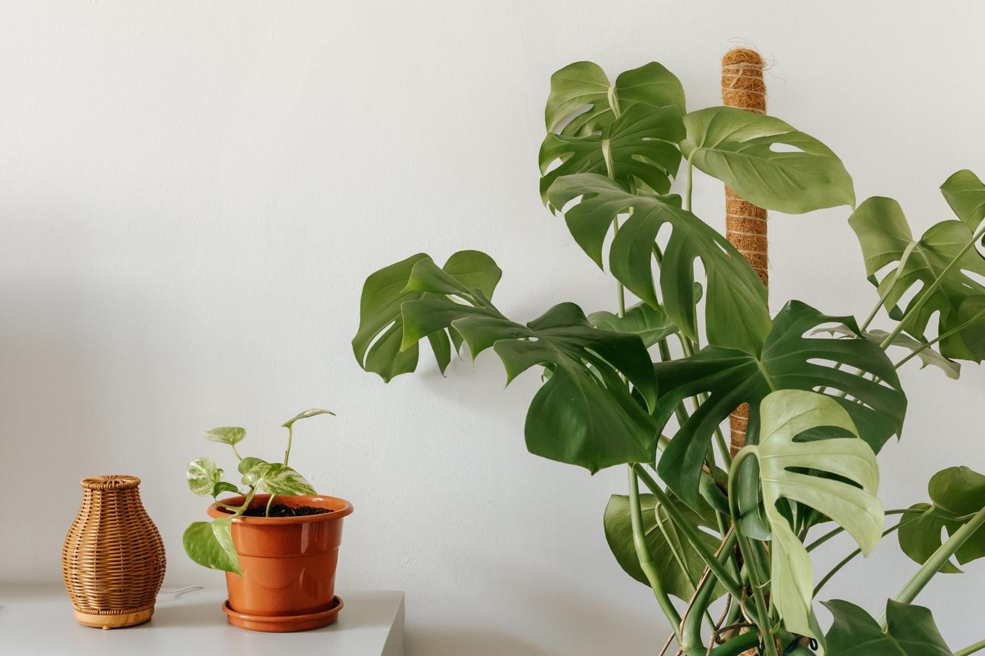 Apartamento Diogo's Alcantara I By Mycelia Lisboa
