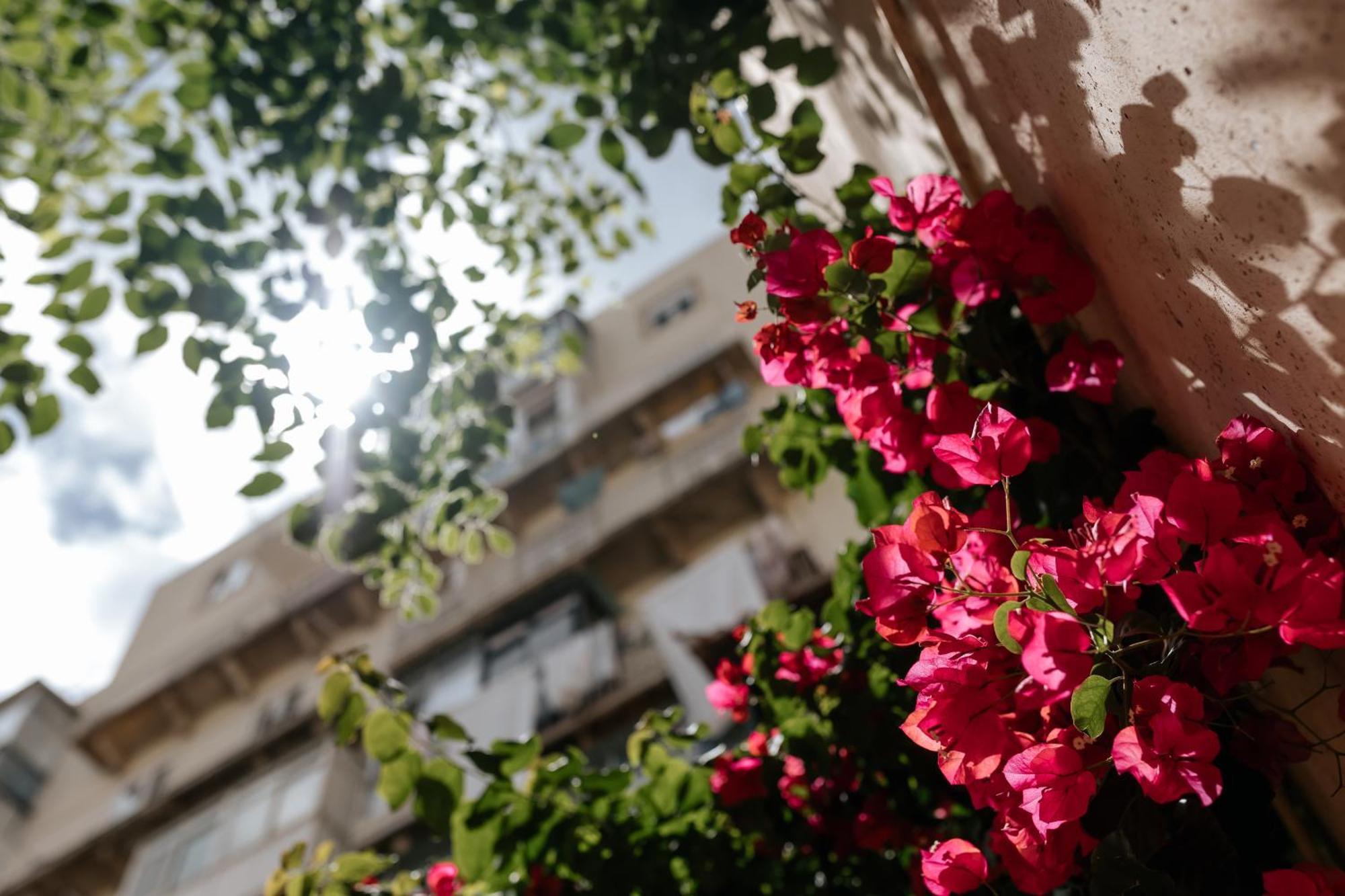 Apartamento Diogo's Alcantara I By Mycelia